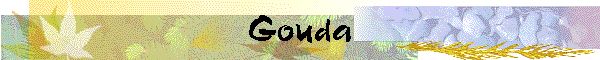 Gouda